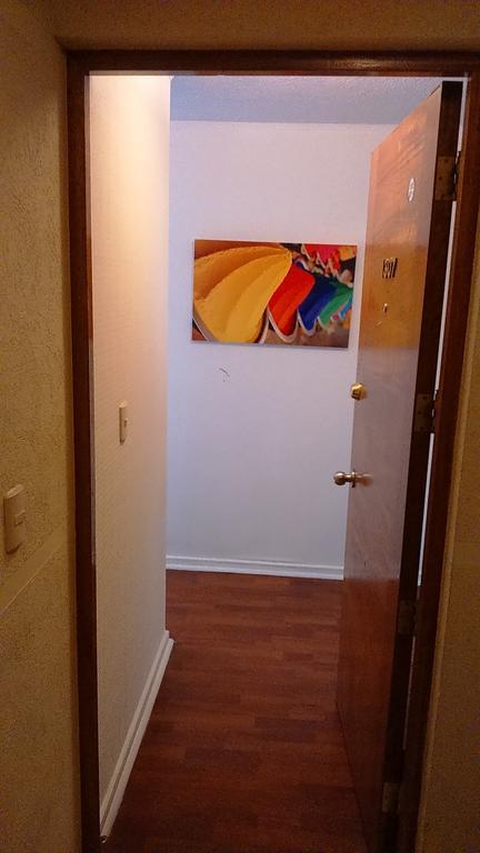 圣地亚哥Departamento Paseo Bulnes Metro La Moneda公寓 客房 照片